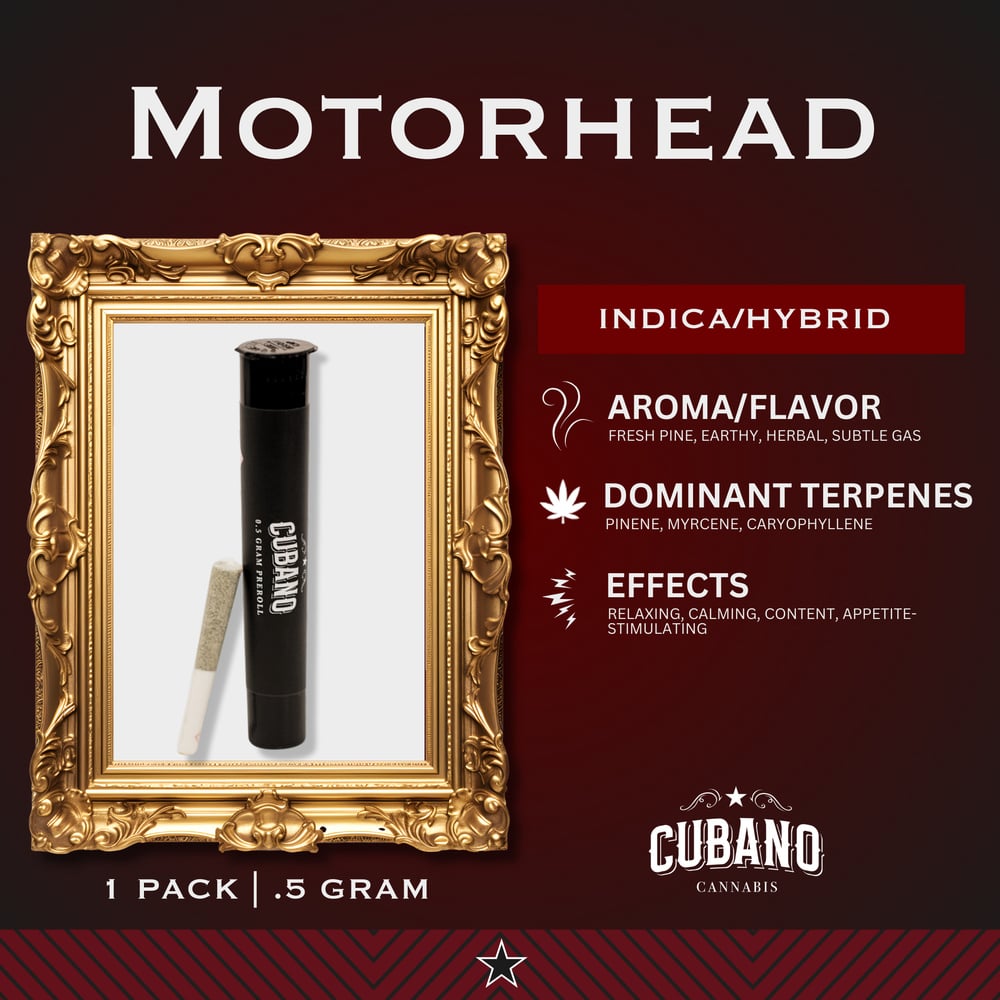 Motor Head [.5g]