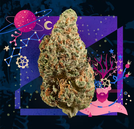 Bio Jesus Indica Flower 3.5g