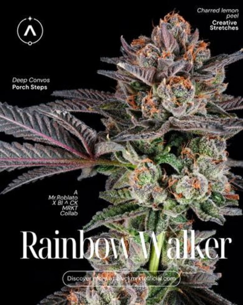 Rainbow Walker
