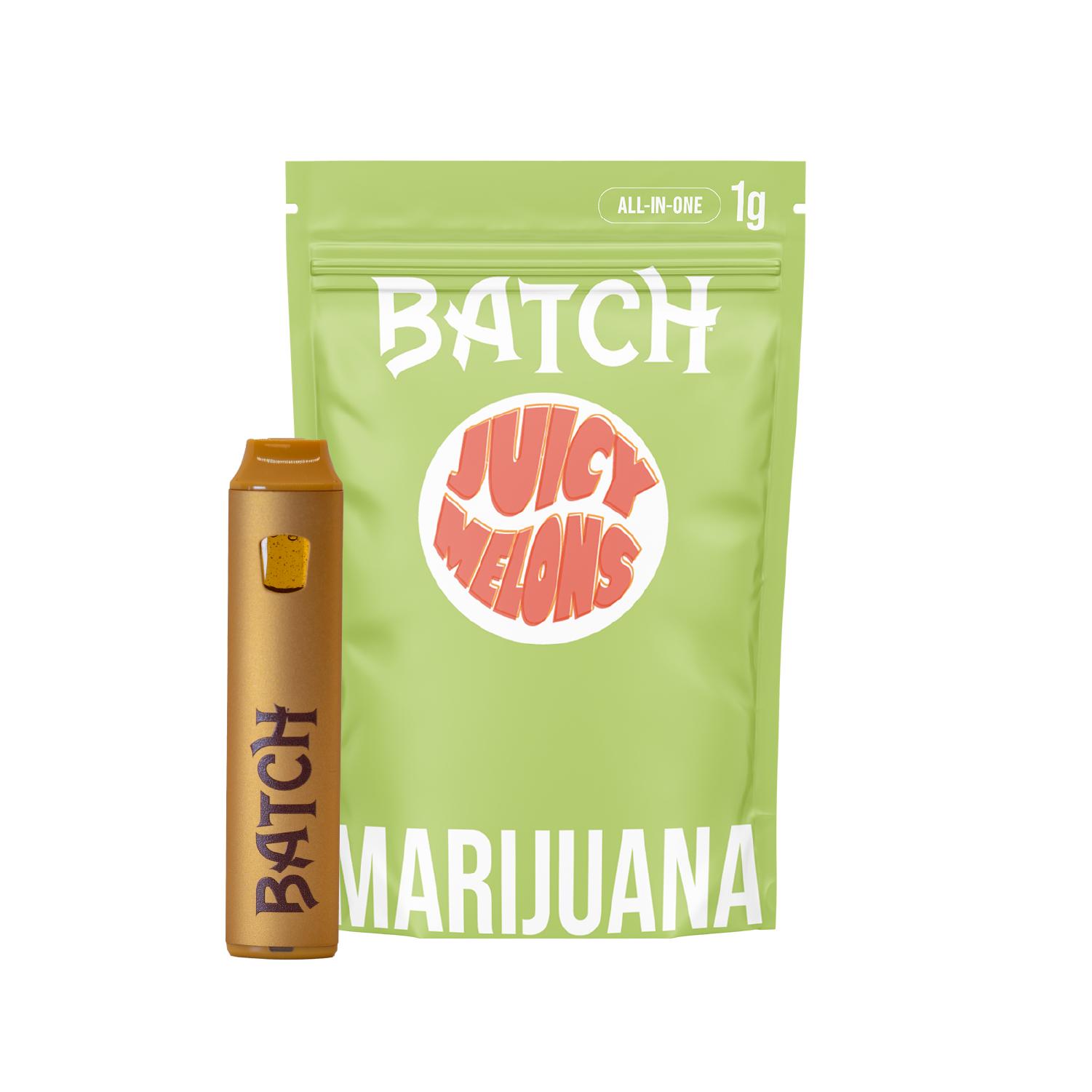 Batch | AIO | Flavors Juicy Melons | 1 g