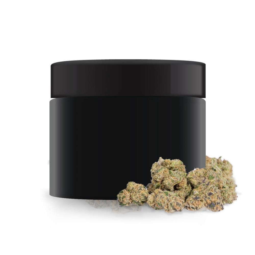 Purple Plague - Sativa