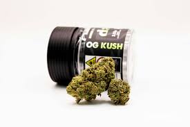 Og Kush