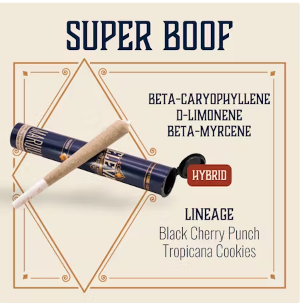 Super Boof