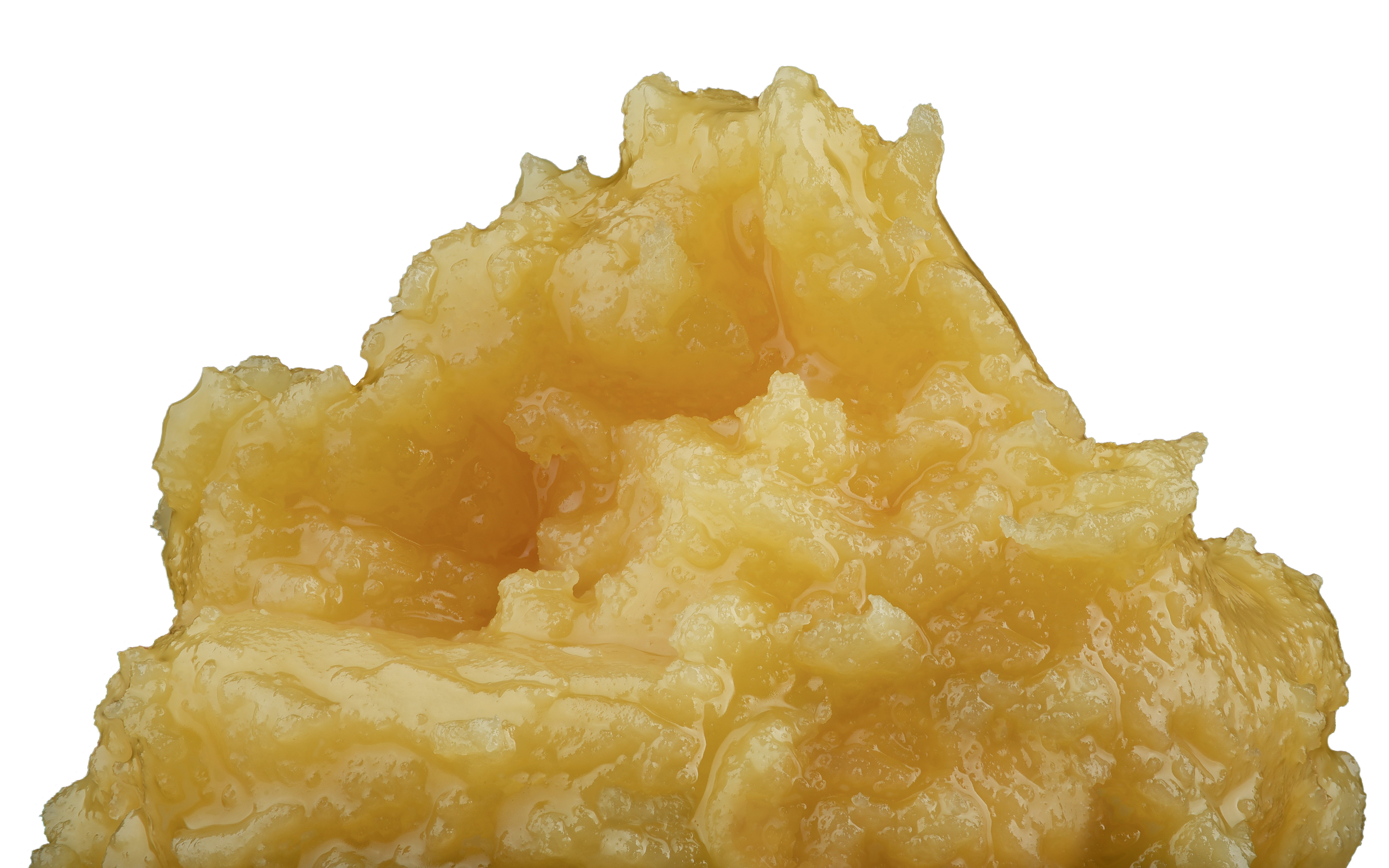 Larry Bird Critical Concentrates Live Batter Jane