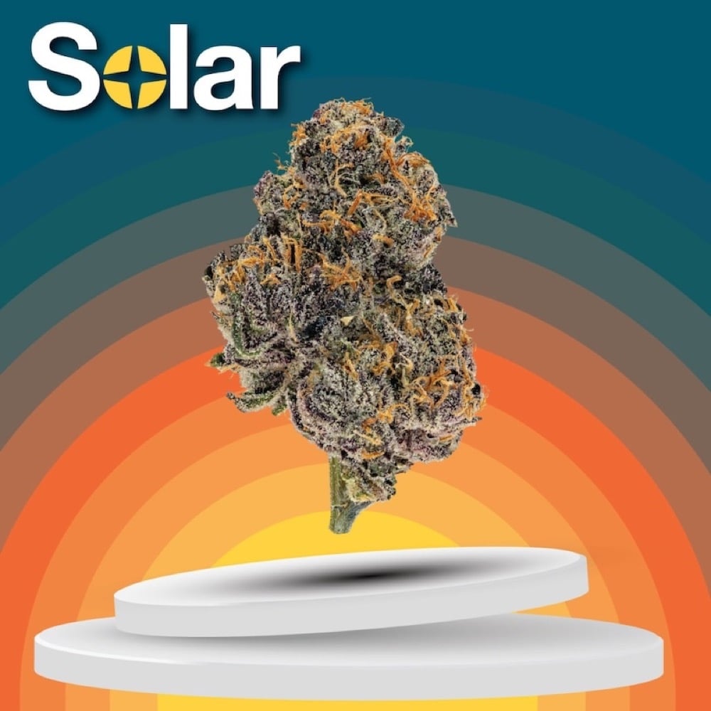 Solar Cannabis Co. - Blue Andeze Flower