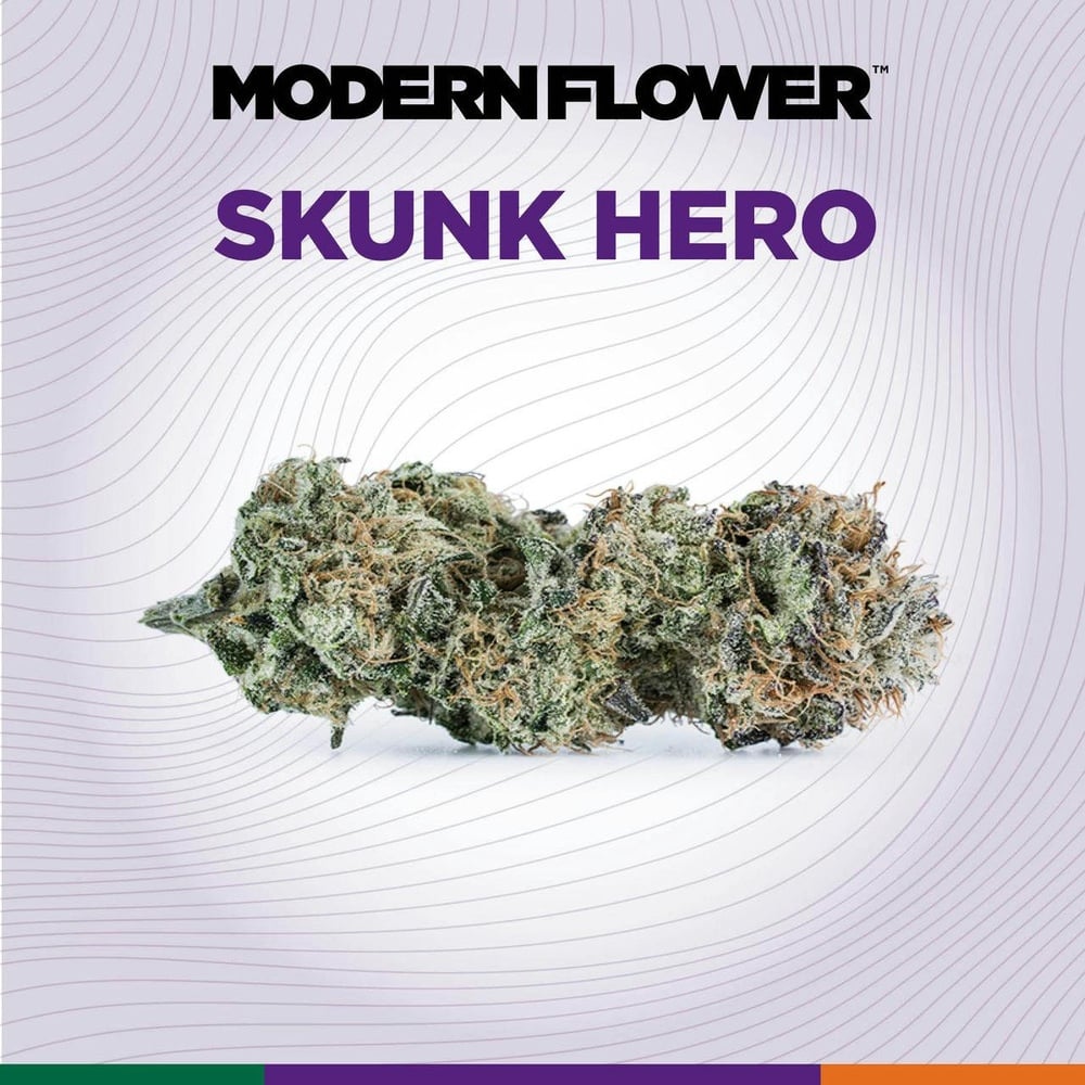 Skunk Hero Skunk Hero