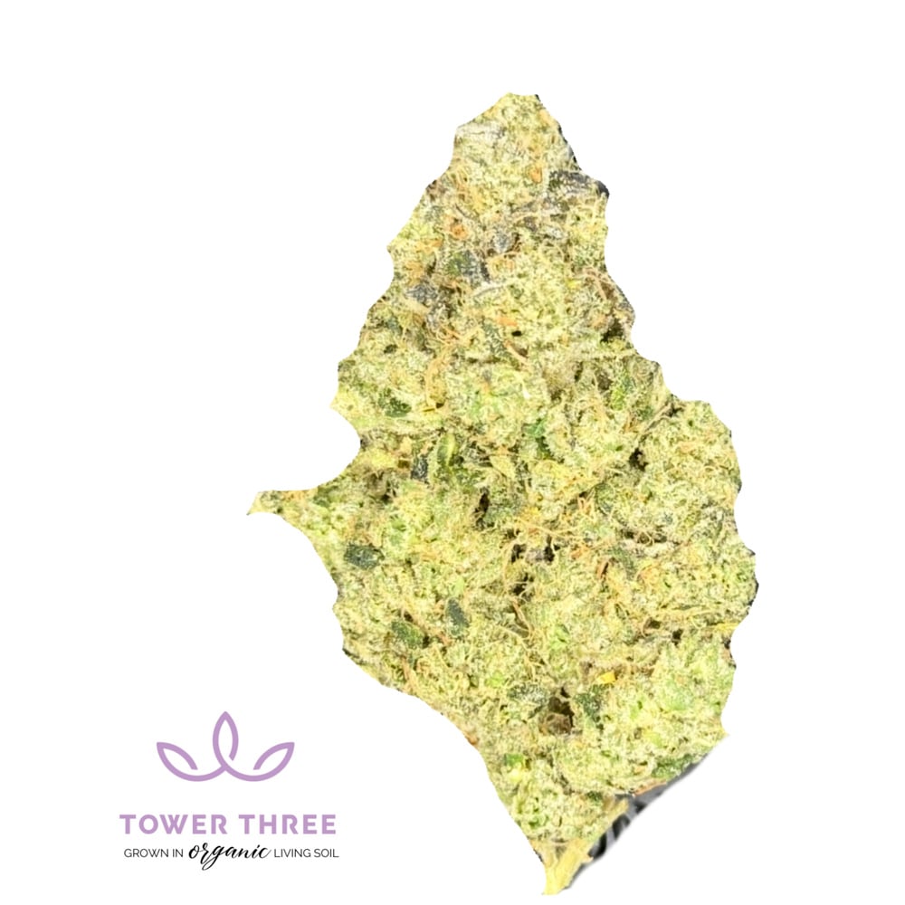 Tower Three - Maple Butter Flower