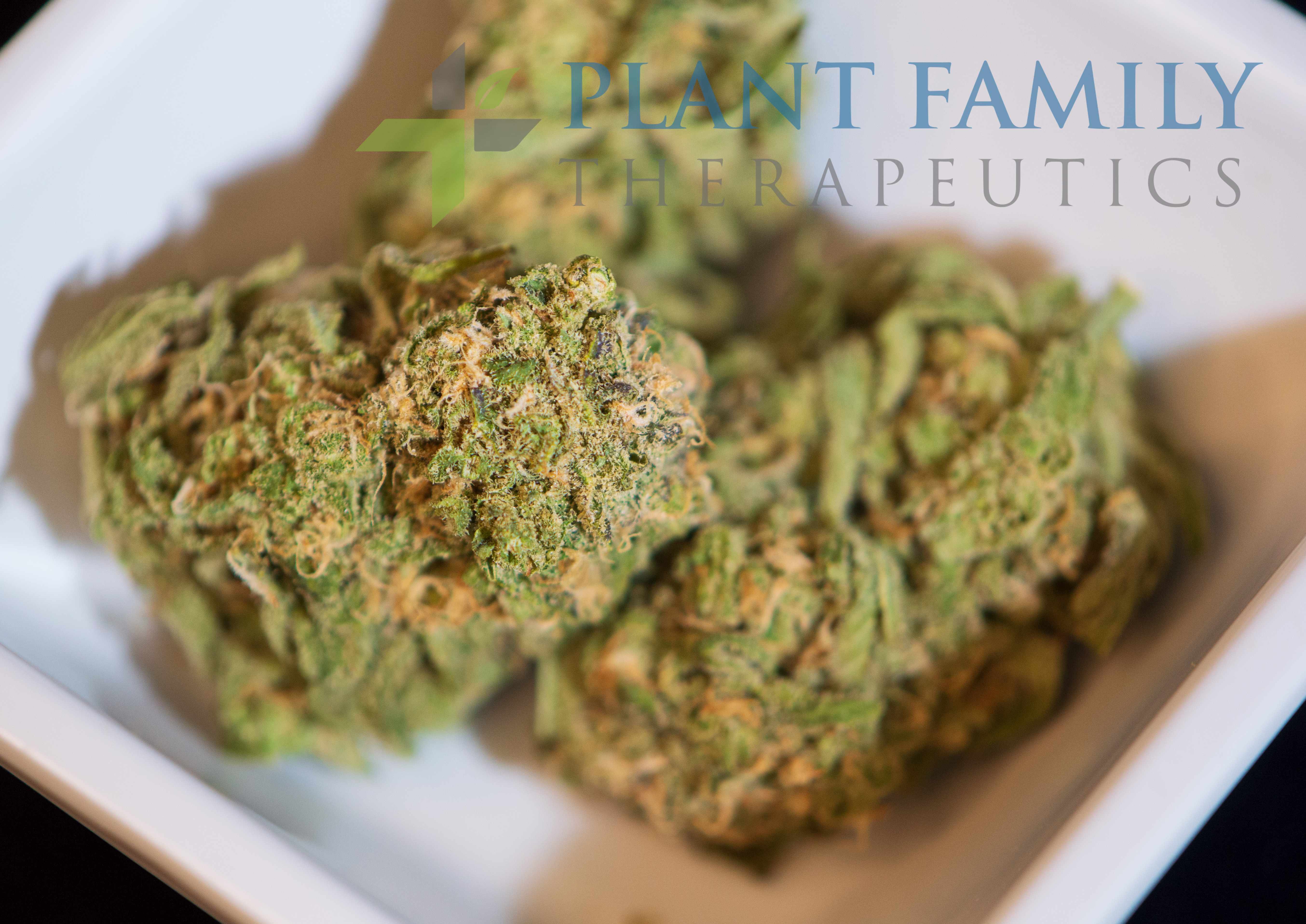BLUE DREAM - BOLD #G