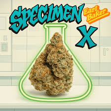 Specimen X  | T31.52 | 074 | 3.5g"