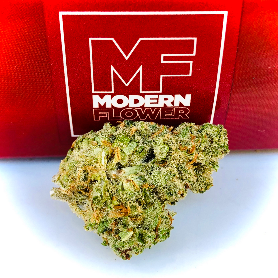 Shop Cinderella 99 | Adult Use Cannabis