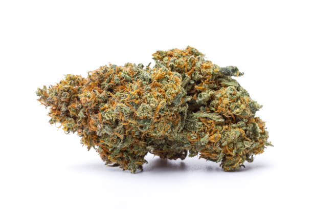 Doctor Seedsman - 1/8oz in Dover