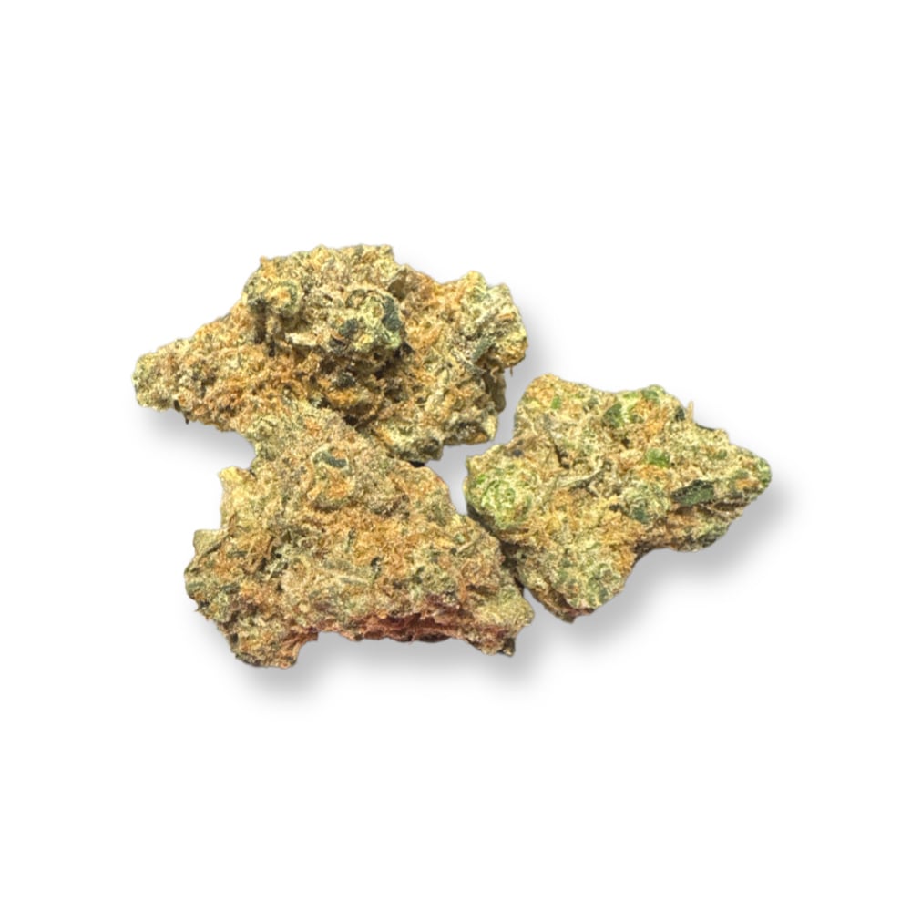 Jungle Cake