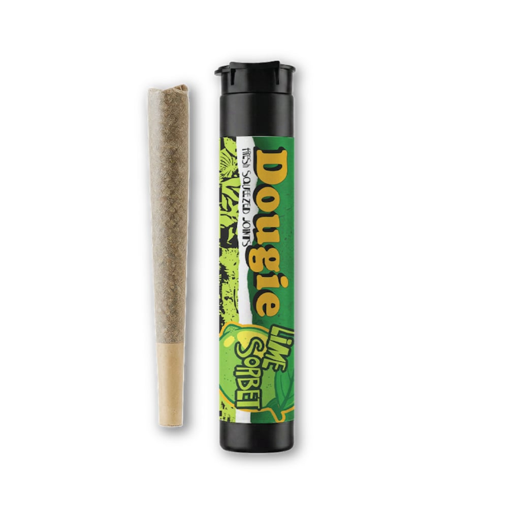 Lime Sorbet [.75g]