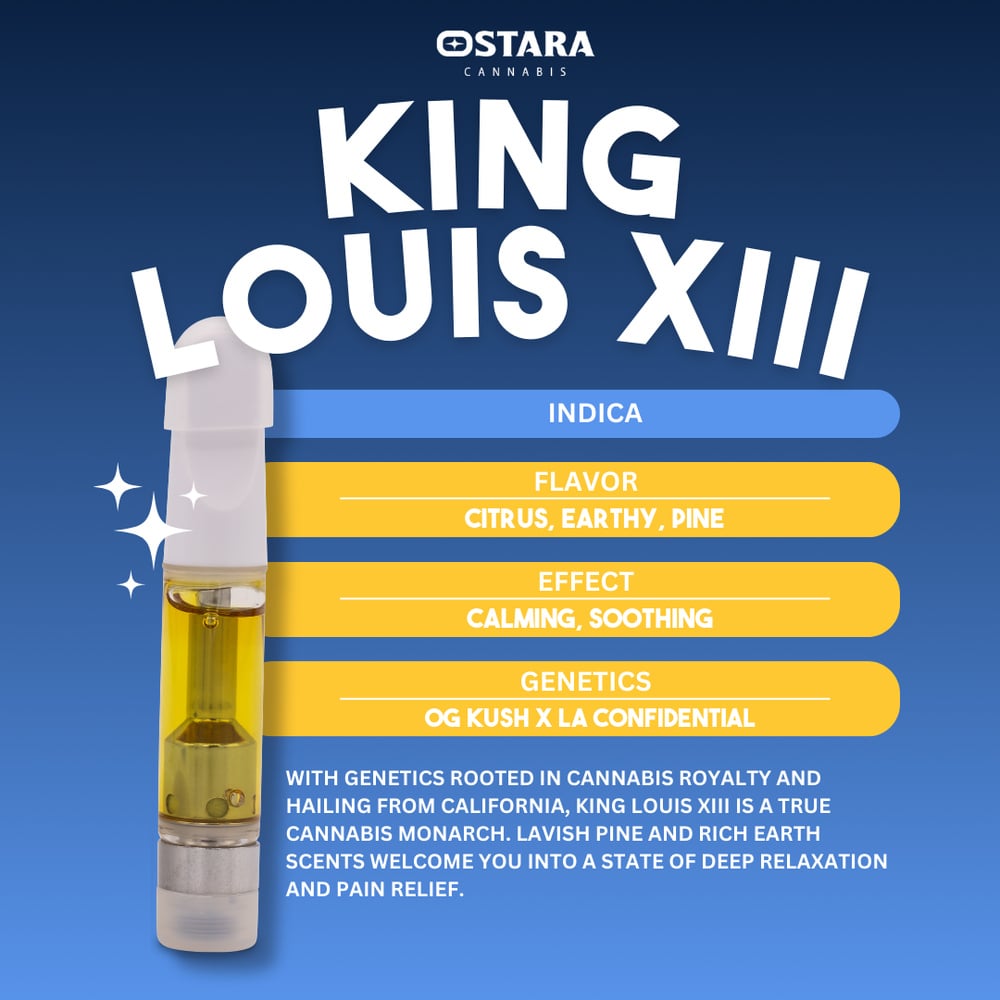 King Louis XIII