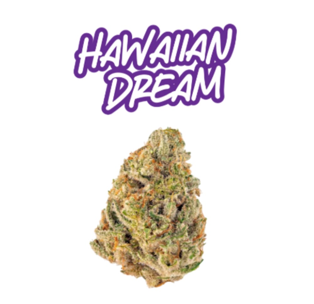 Hawaiian Dream Hawaiian Dream