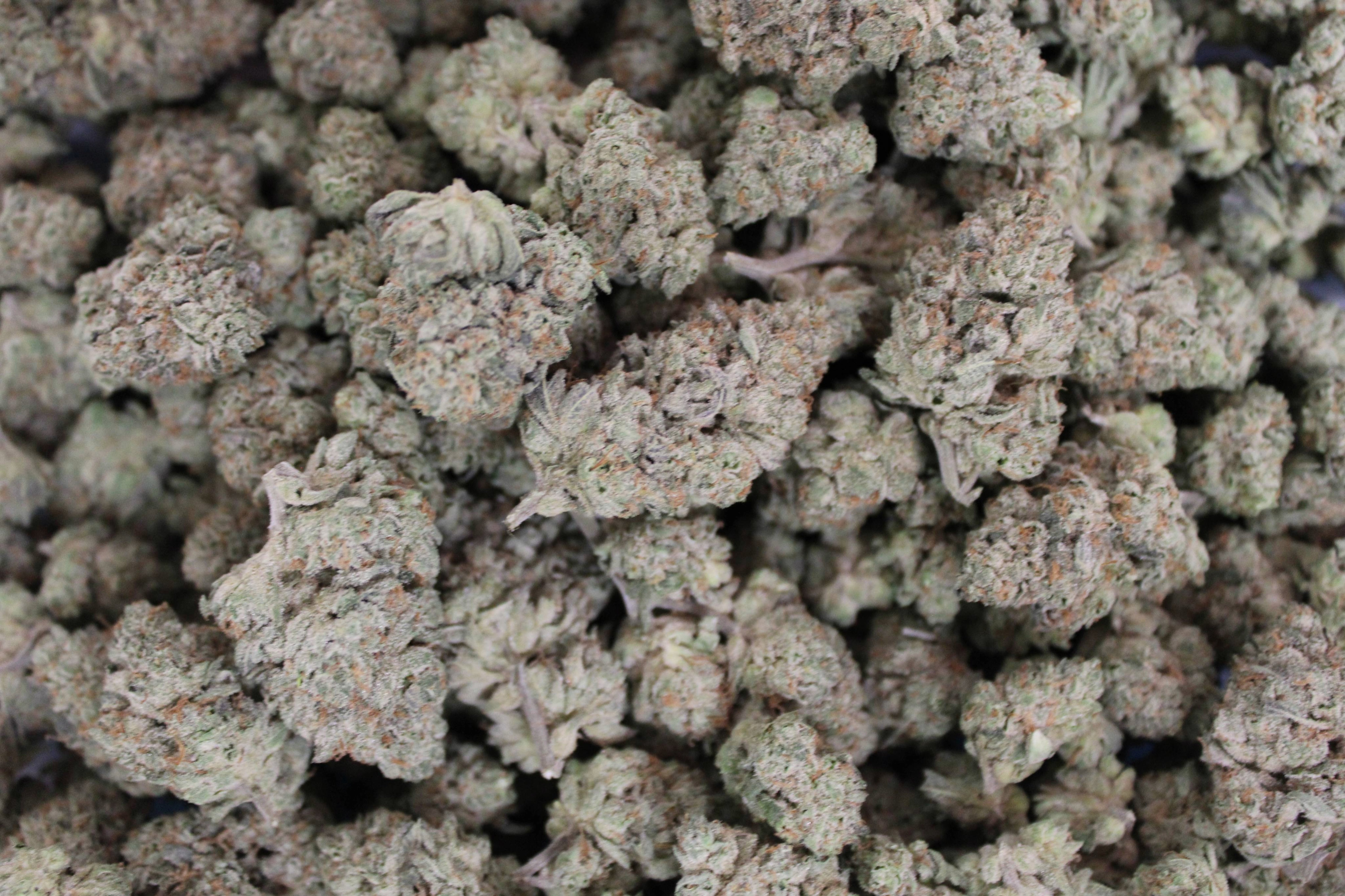 Dakota Green Terp Ranch - Mag #76 - Bulk Flower - Indica