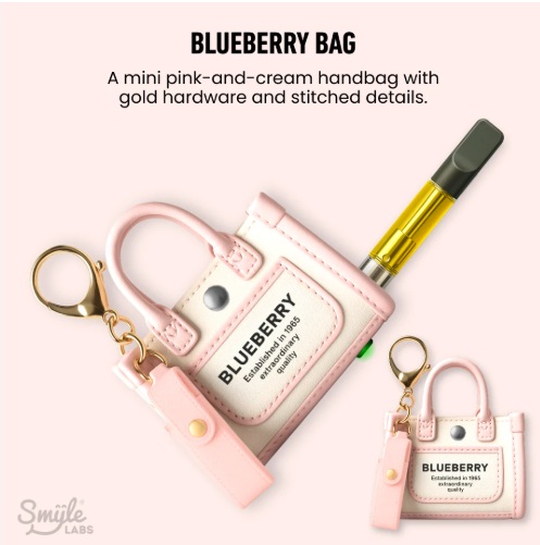 SMYLE - Pursejamin Branded Pink Purse Battery $40