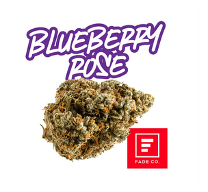 Blueberry Rose