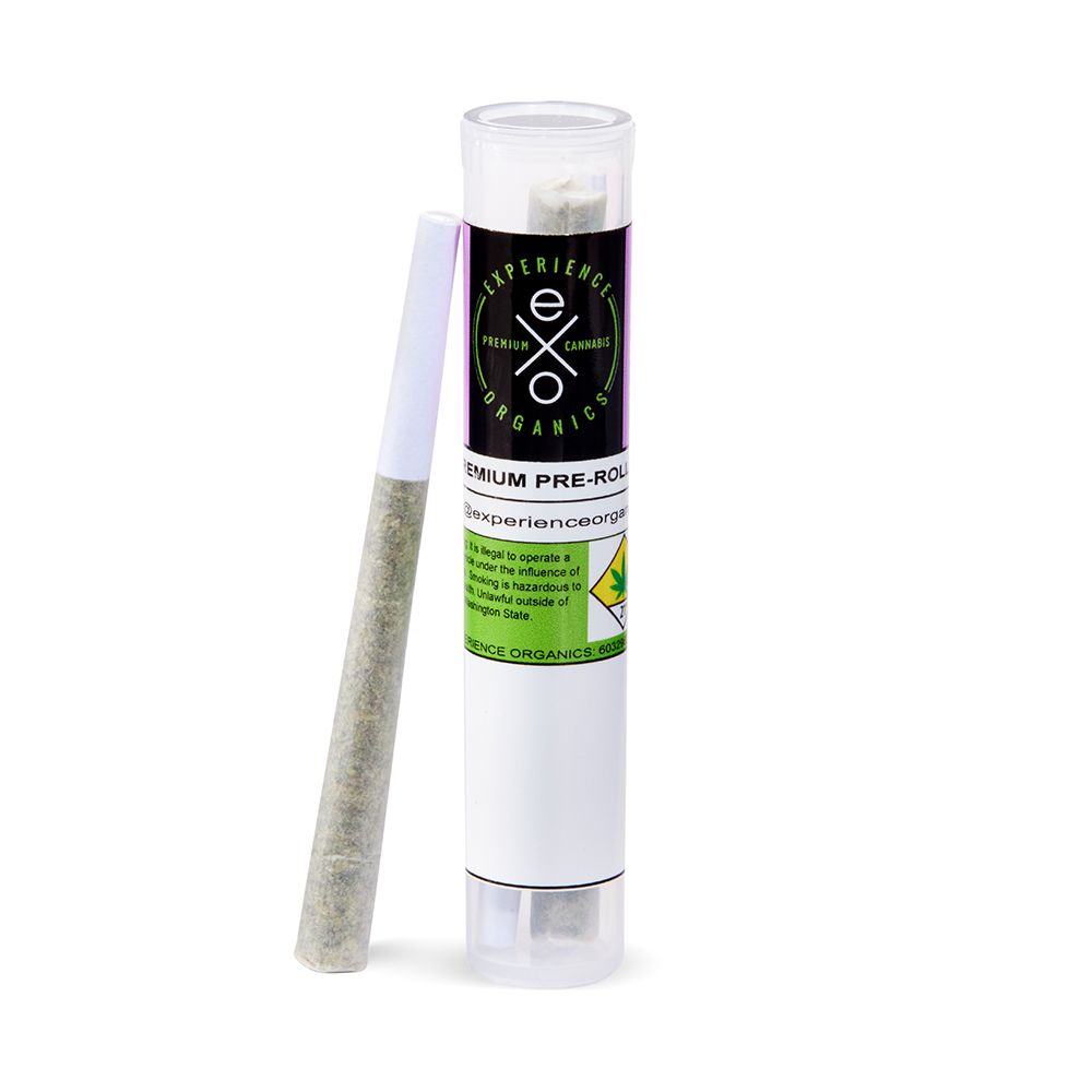 Kimbo Kush