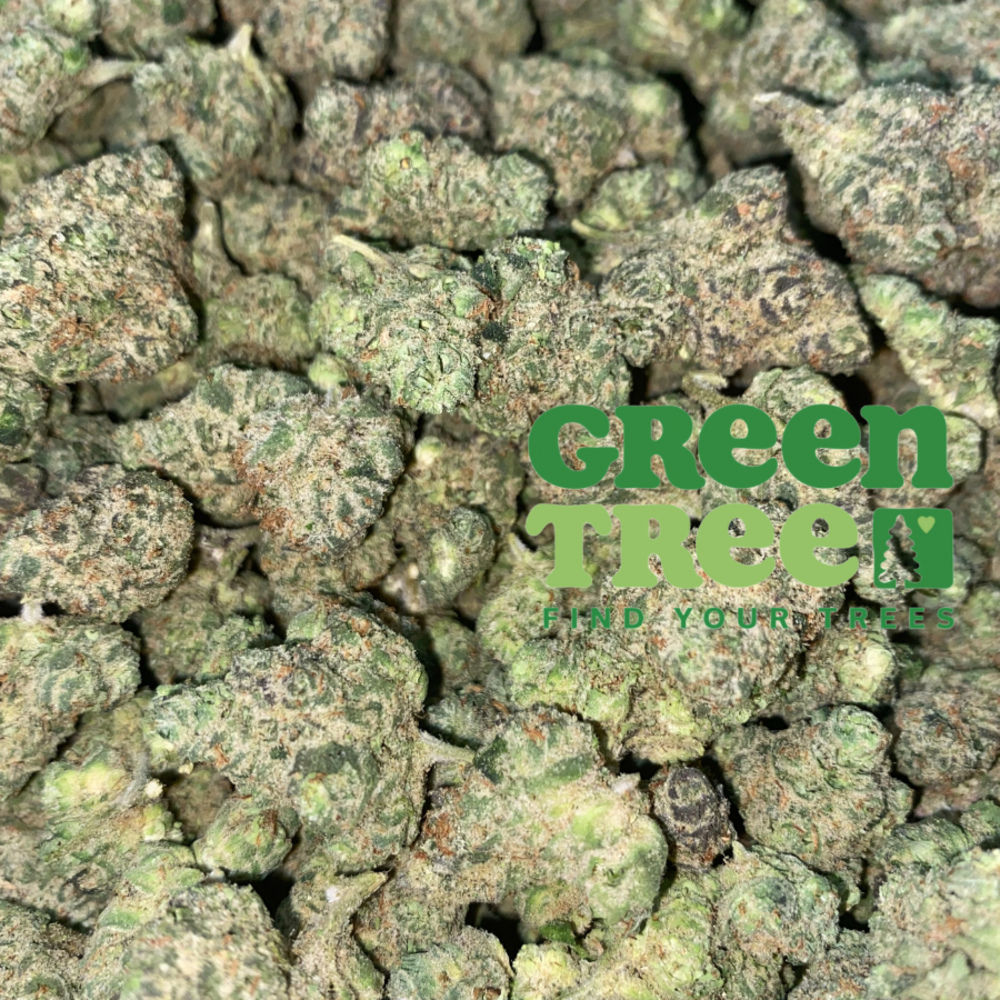 Jack Haze
