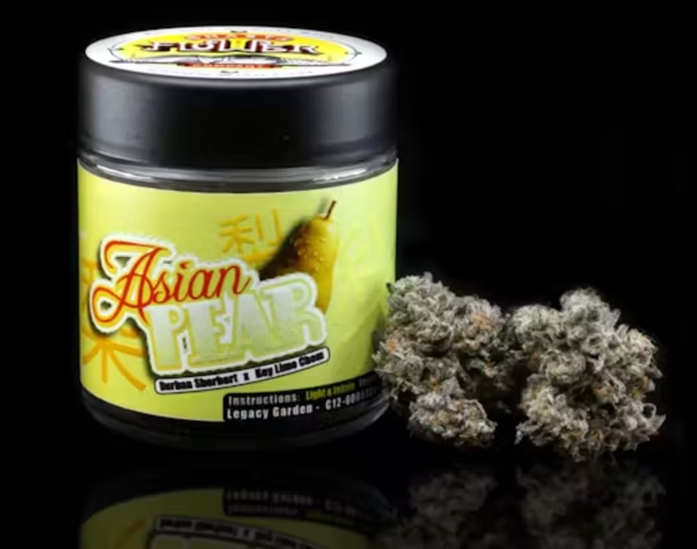 Asian Pear Asian Pear