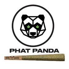 Phat Panda 50% Off special
