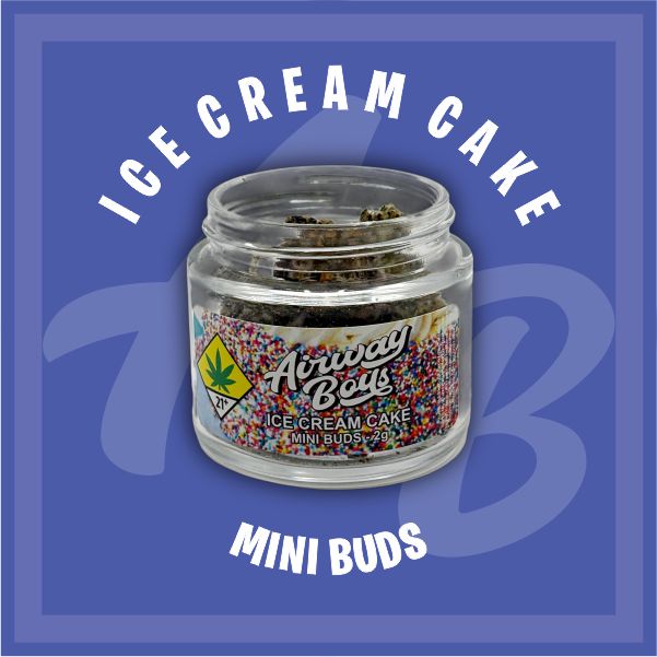 Ice Cream Cake