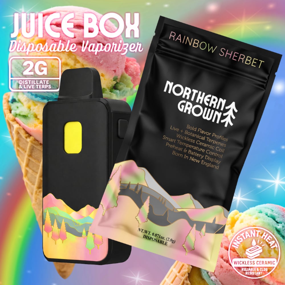 Northern Grown - Rainbow Sherbet Juice Box Disposable (2g)