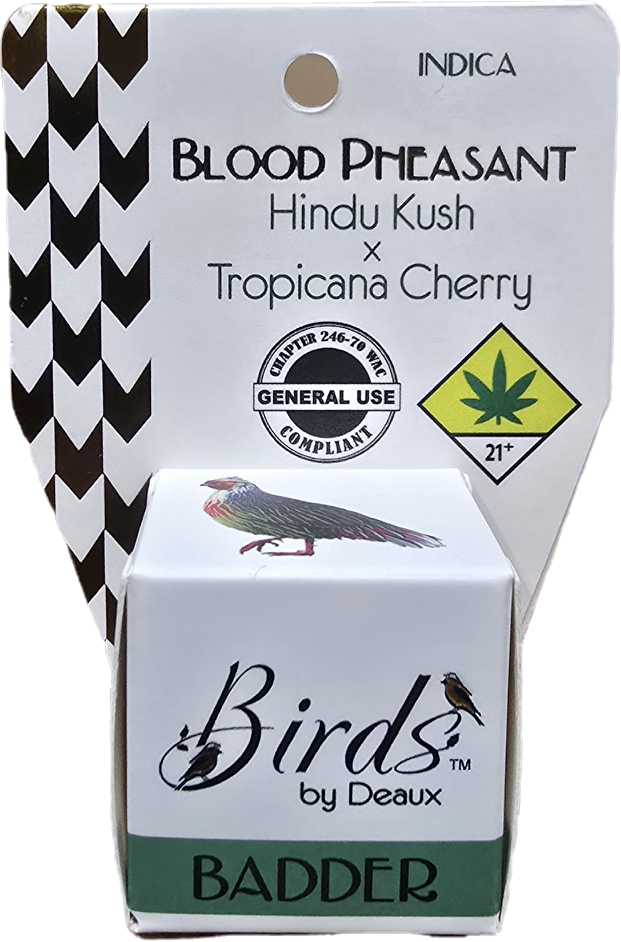 Blood Pheasant