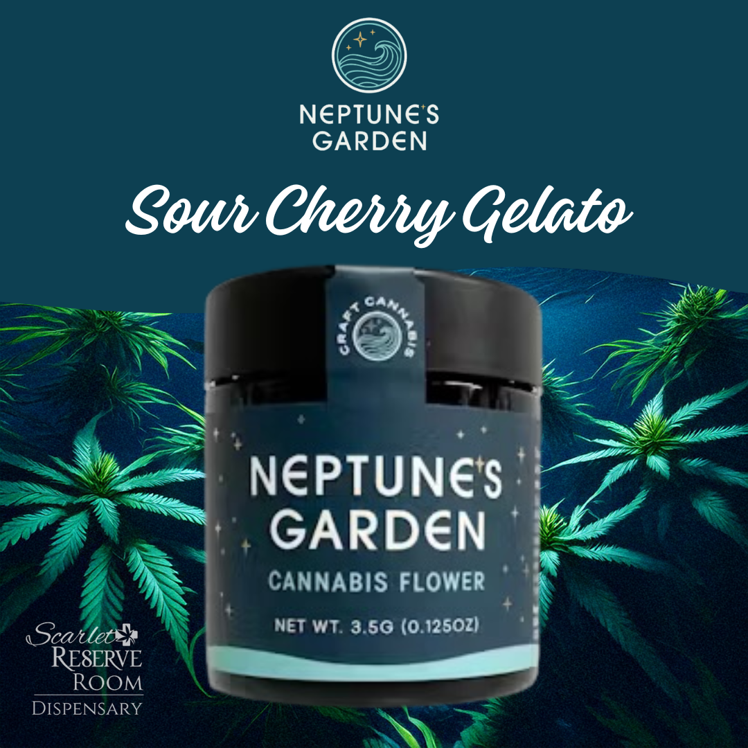 SOUR CHERRY GELATO