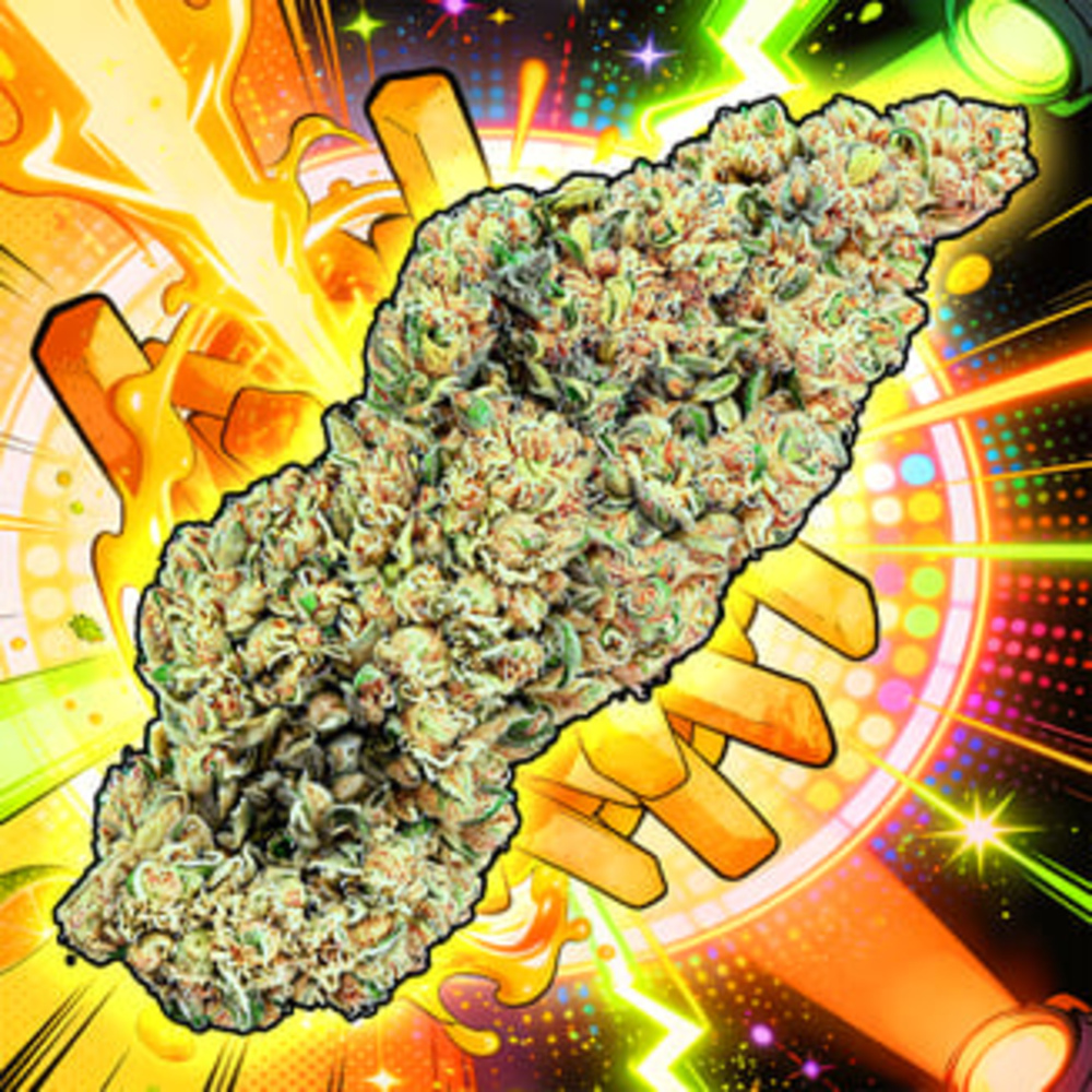 Disco Fries