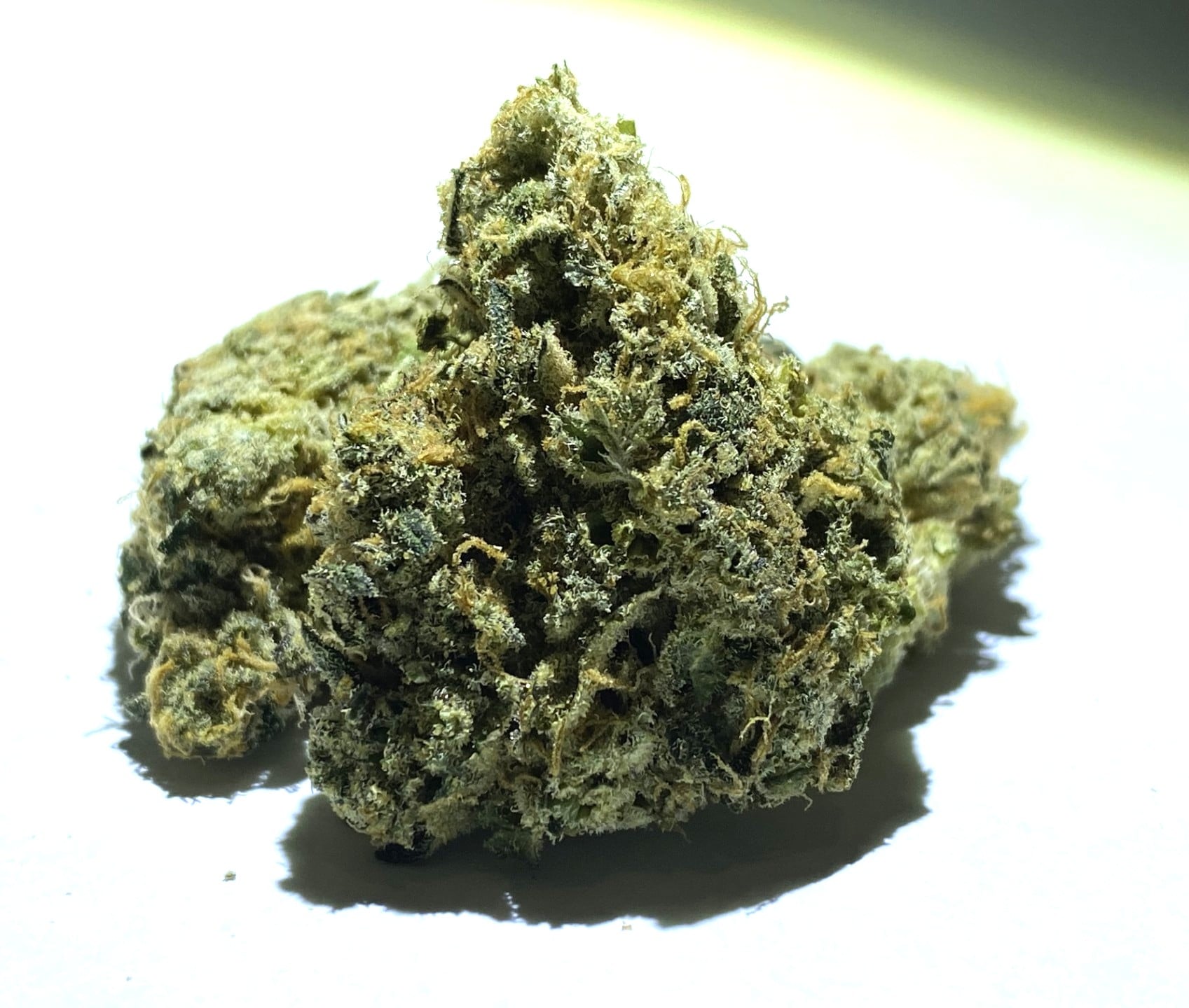 Gouda Berry