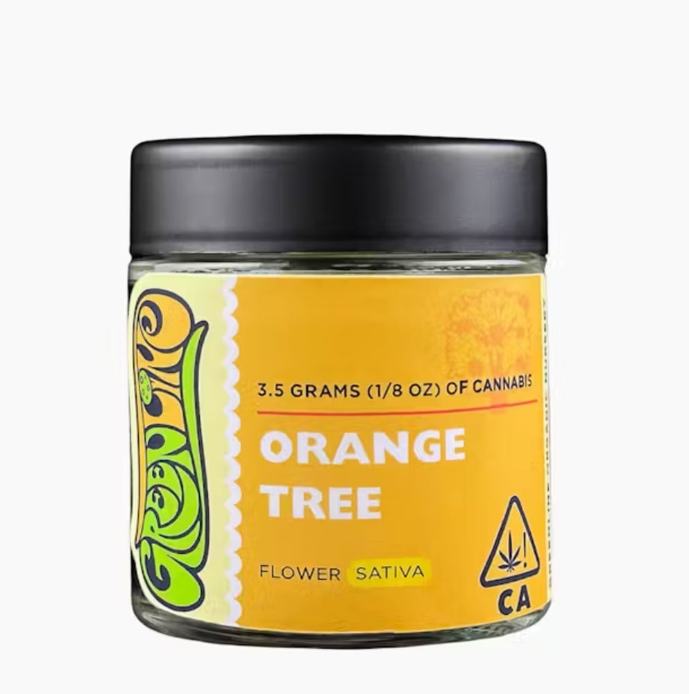 Orange Tree