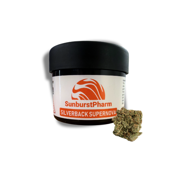 Silverback Supernova