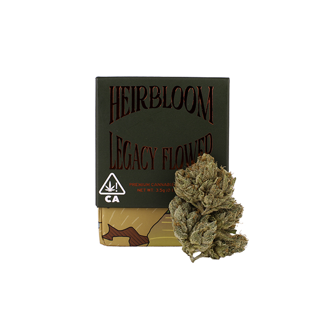 SFV OG SFV OG