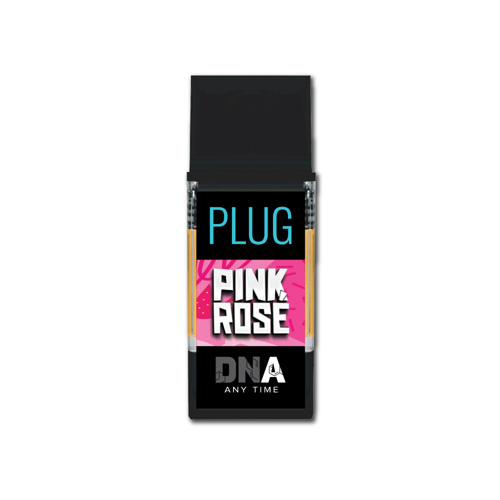 Pink Rose