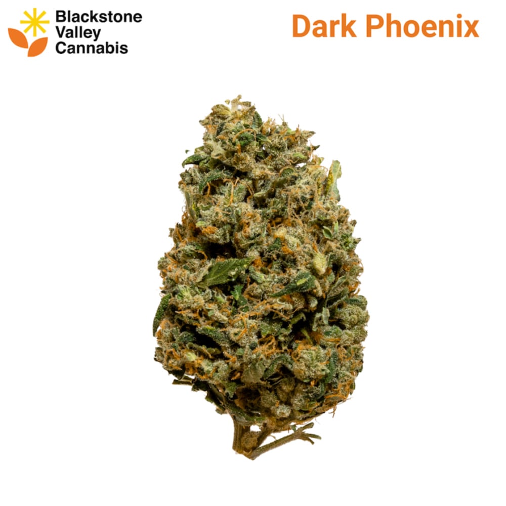 Blackstone Valley Cannabis - Dark Phoenix Flower Blackstone Valley Cannabis - Dark Phoenix Flower