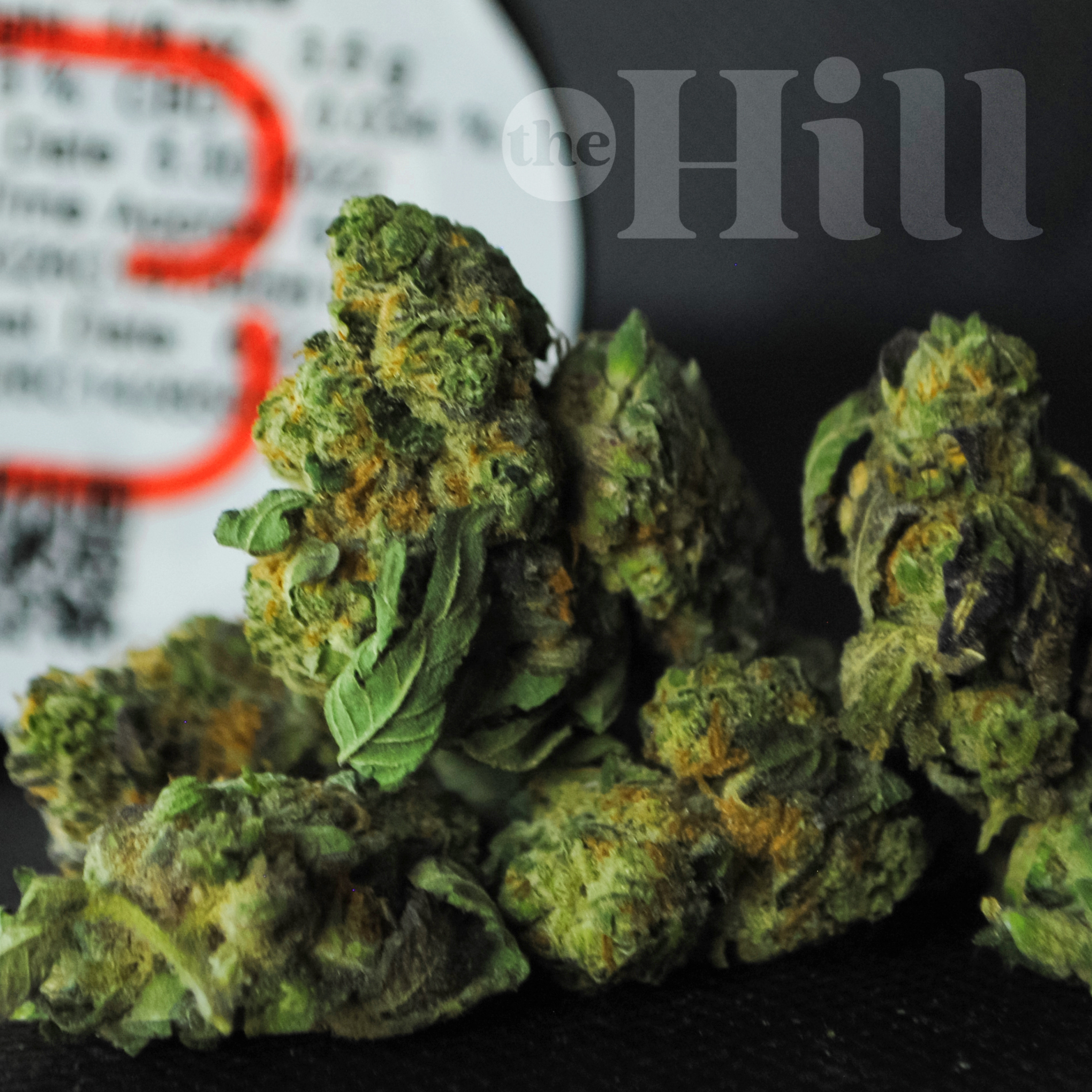 LA Kush Cake | Bold Cultivation