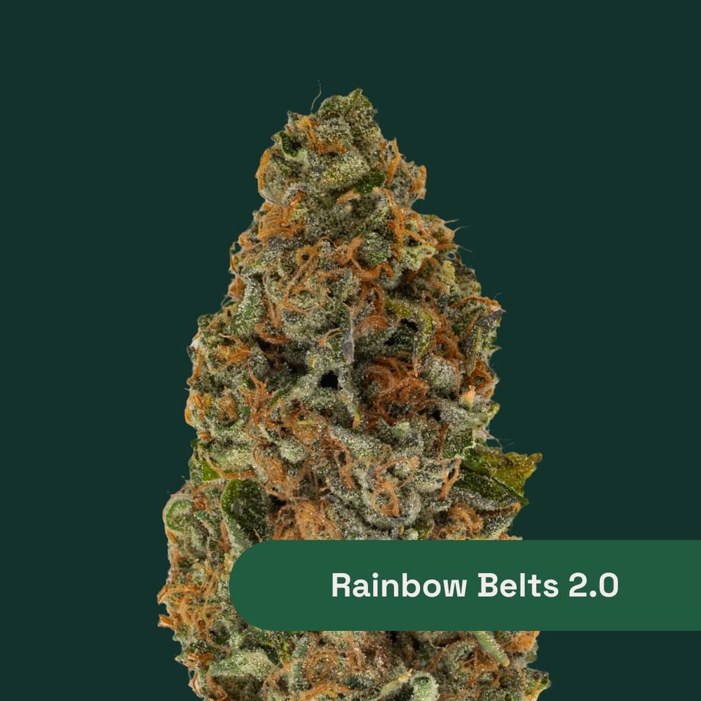 Rainbow Belts
