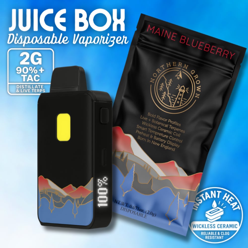 Northern Grown - Maine Blueberry Juice Box Disposable (2g)