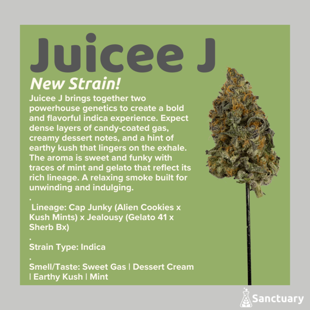 Sanctuary - Juicee J Flower