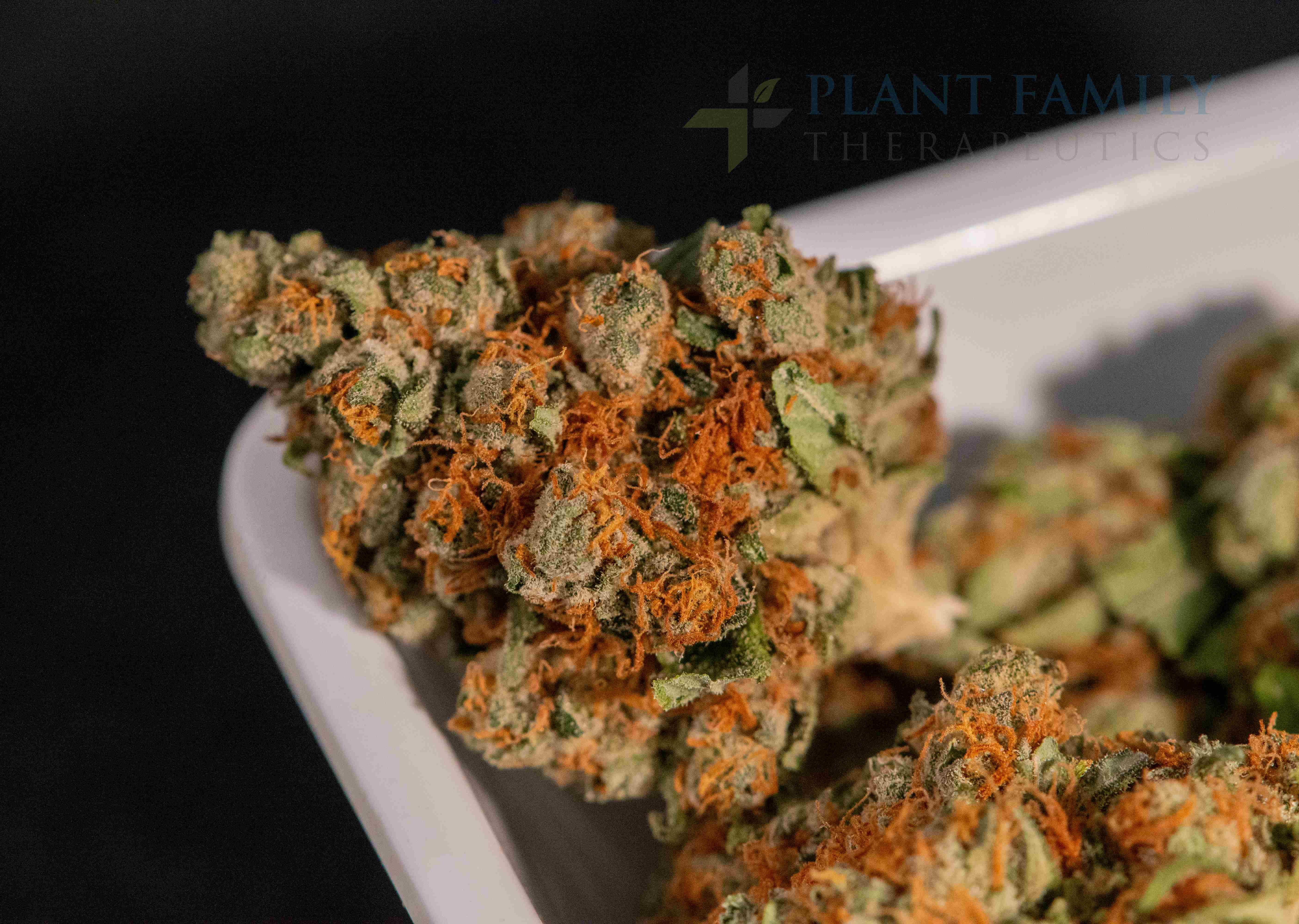 Lemon Kush Headband CBD-RICH