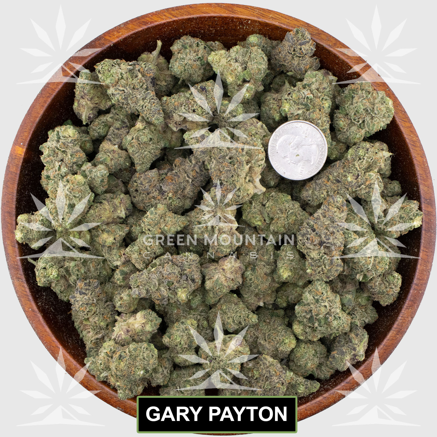 Gary Payton - 1/8oz in Palisade