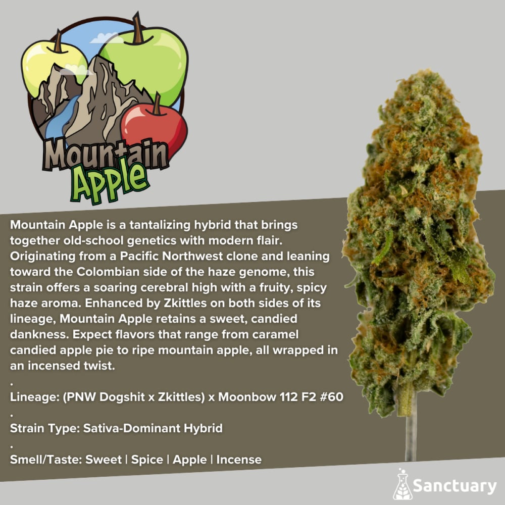 Sanctuary - Mountain Apple Flower
