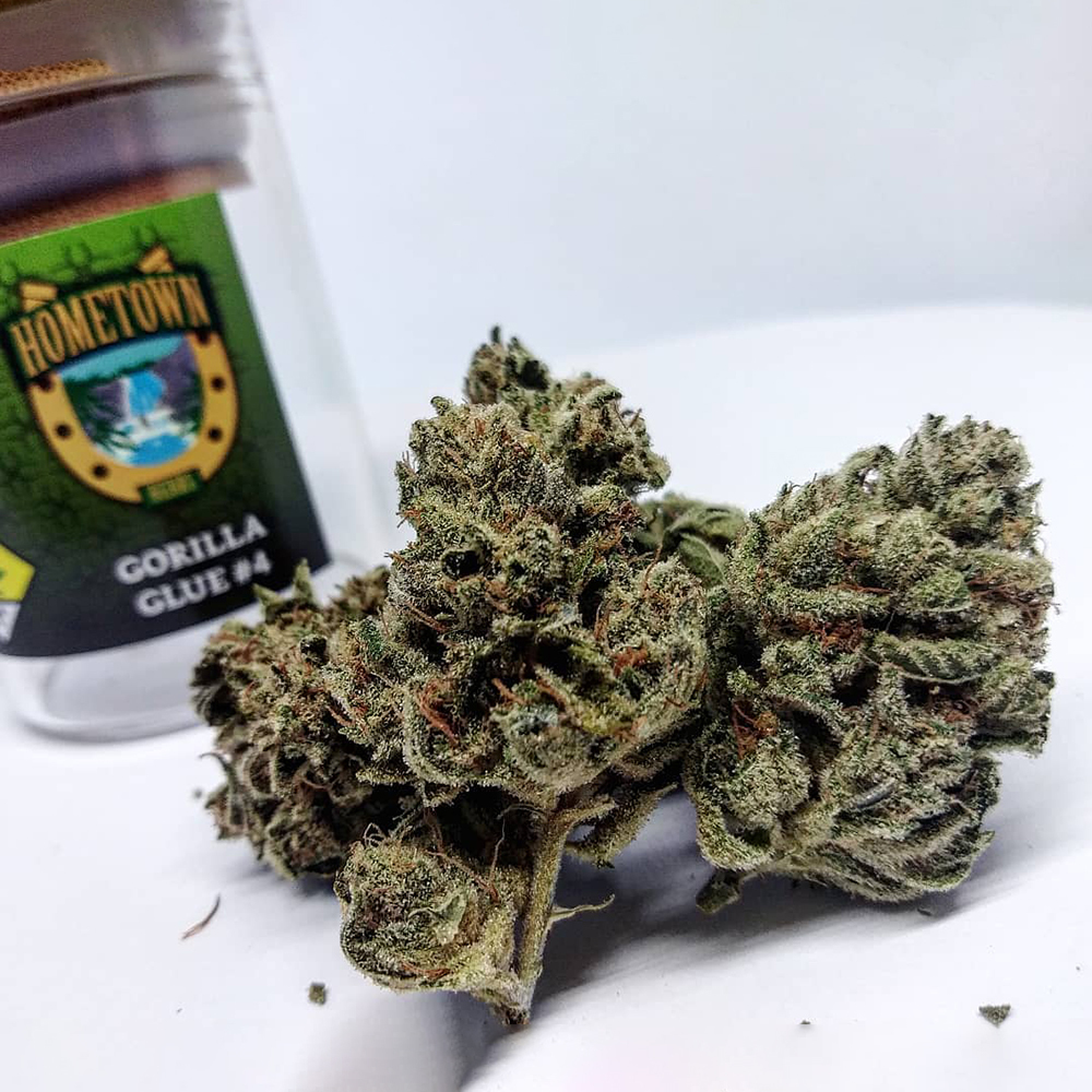 Blueberry Trainwreck Hometown Herbs Jane