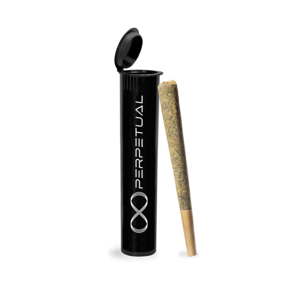 Perpetual - Tangerine Punch #1 Pre-Roll (1g)