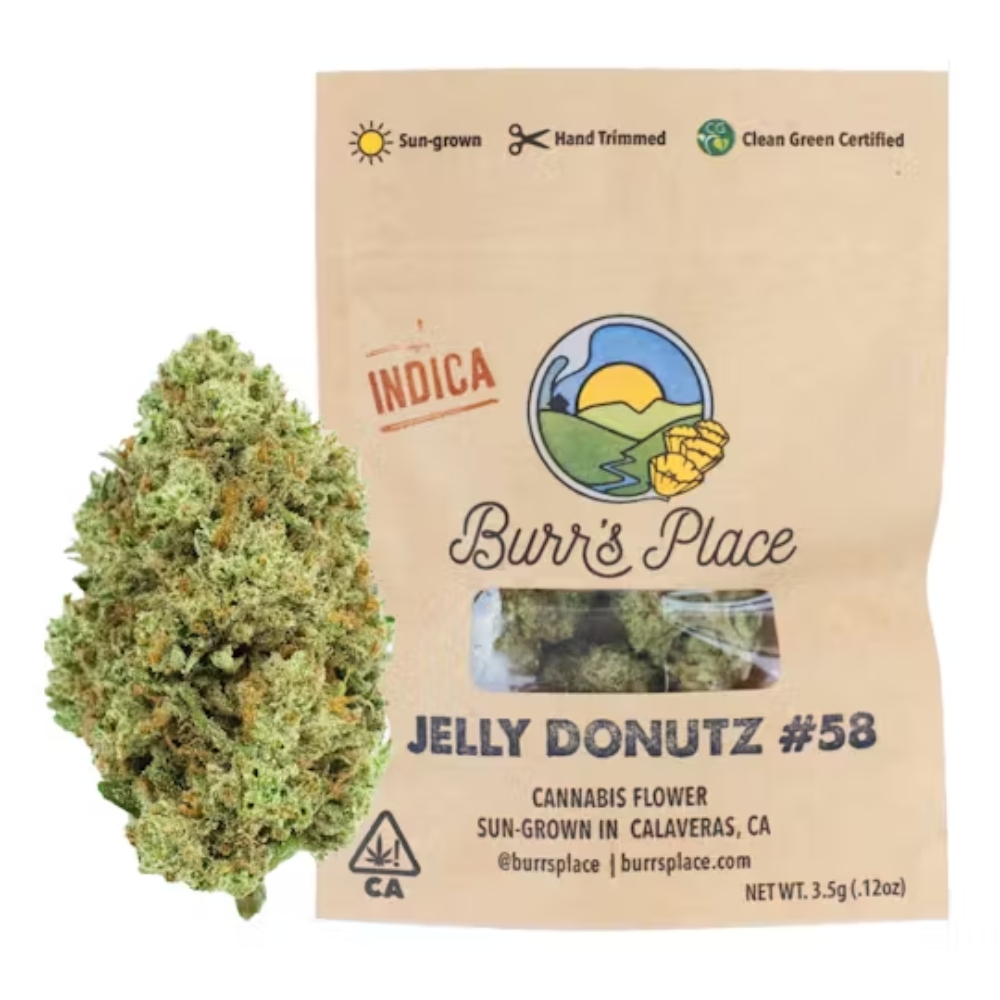 Jelly Donutz
