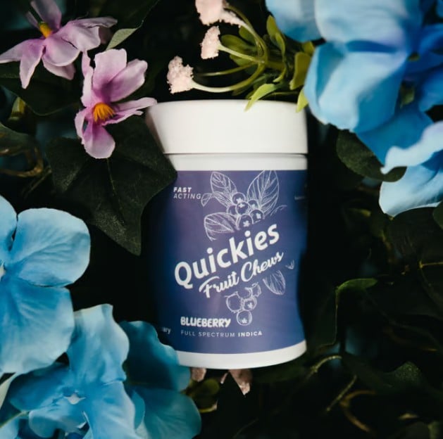 Shop 5mg Blueberry Fast Acting Full Spectrum Quickies | 20pk