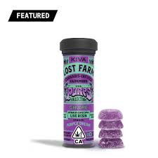 Grape x Purple Dream [10pk] (100mg)