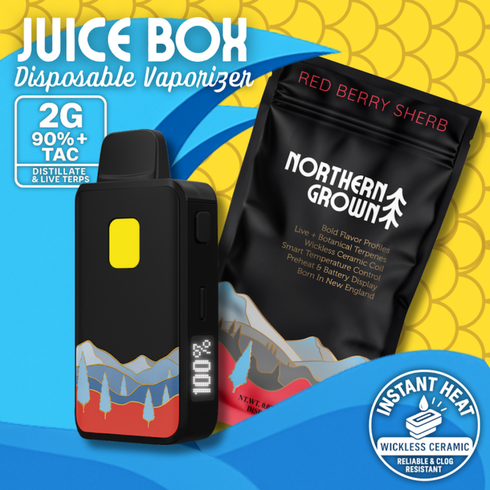 Northern Grown - Red Berry Sherb Juice Box Disposable (2g)